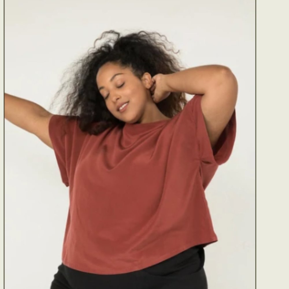 Elizabeth Suzann Rust Silk Georgia Tee Top OSP2